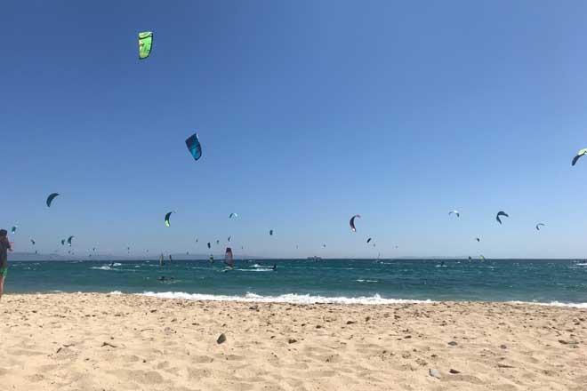 Viele Naish Kites und Windsurf auf dem Wasser